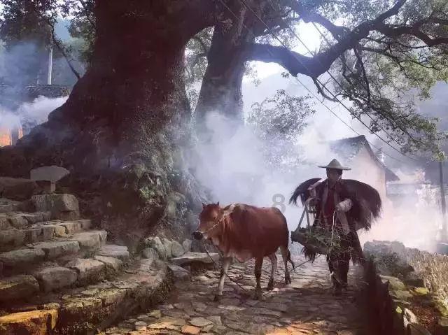 万词王