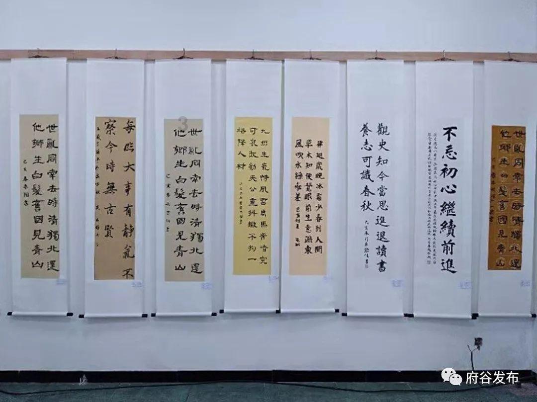 接手石药集团生物药及原料药资产，新诺威复牌后走势将如何？